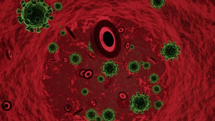 Снимка: Pixabay