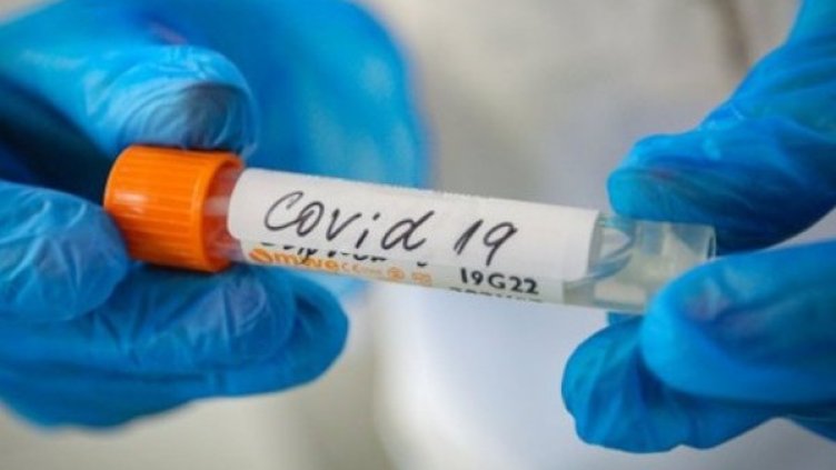 Снимка:Димитър Кьосемарлиев, Dnes.bg