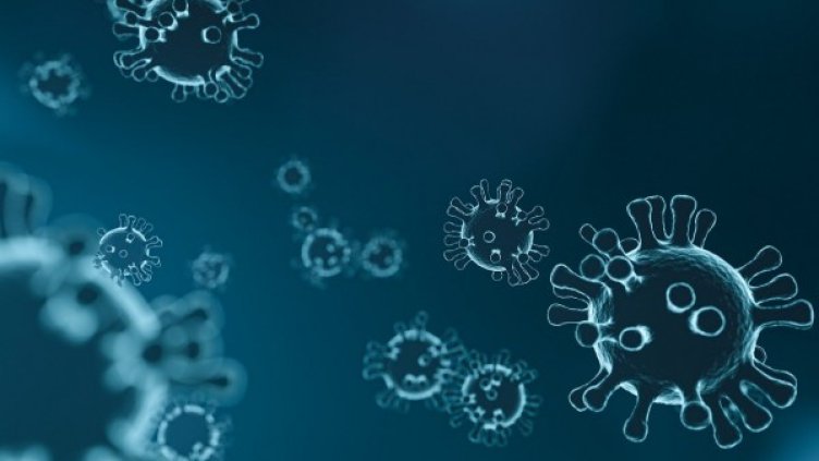 Снимка: Pixabay