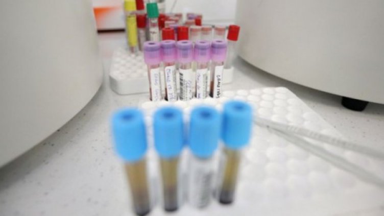 Снимка: Димитър Кьосемарлиев