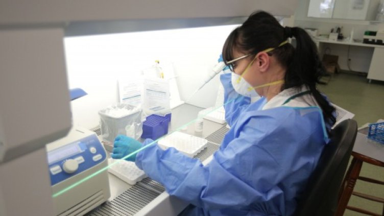 Снимка: Димитър Кьосемарлиев, Dnes.bg