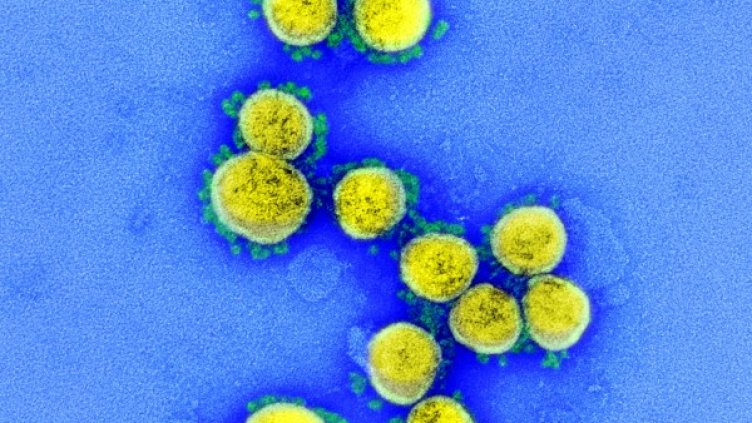 Снимка: архив, БГНЕС