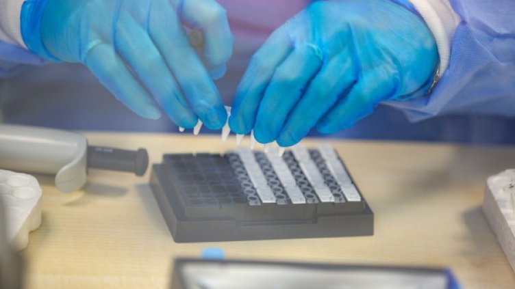 Снимка: Димитър Кьосемарлиев, Dnes.bg