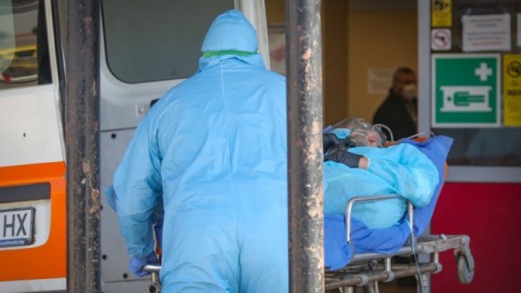 Снимка: Димитър Кьосемарлиев, Dnes.bg