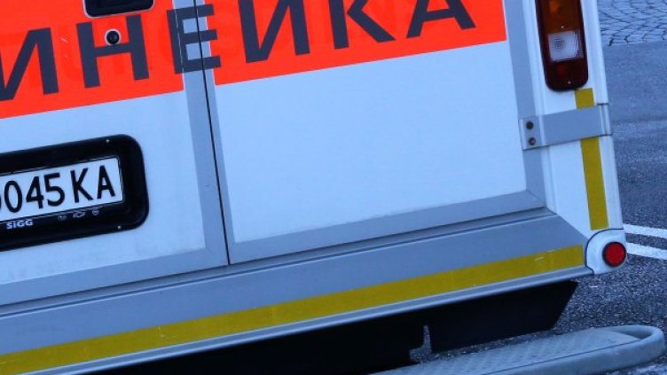 Снимка: БГНЕС, архив