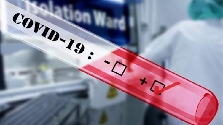 Снимка: Pixabay