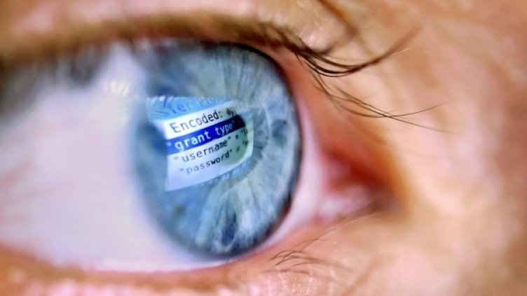 Снимка: архив, БГНЕС