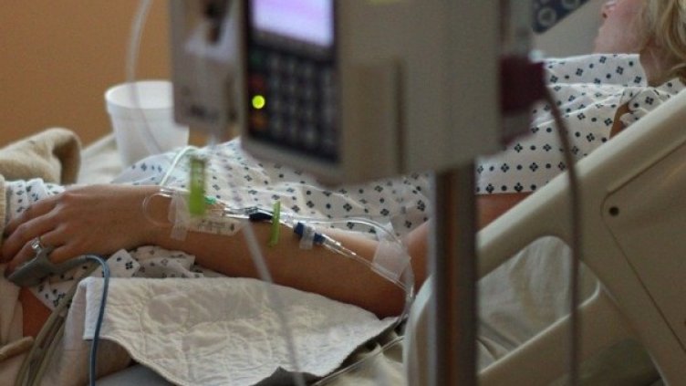 Снимка: Pixabay