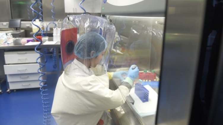 Снимка: БГНЕС