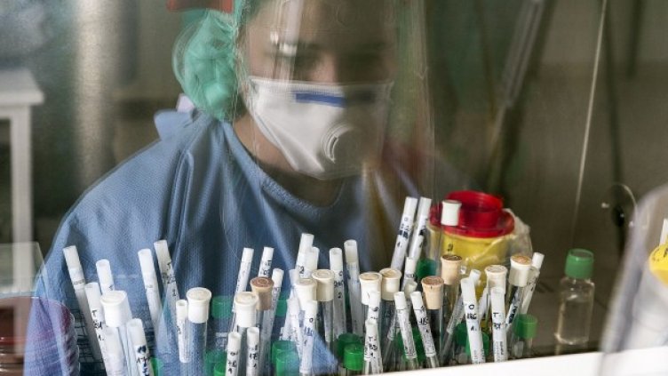 Снимка: БГНЕС