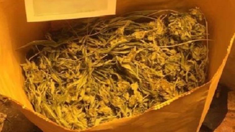 Снимка: МВР