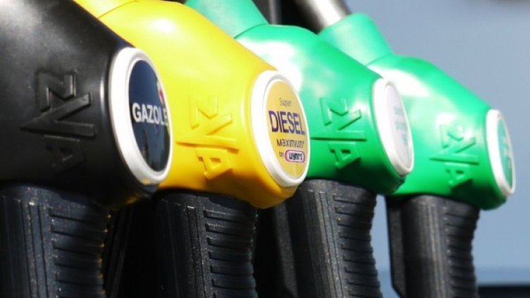 Снимка: Pixabay