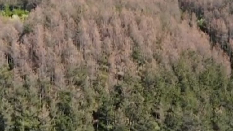 Снимка: Кадър, Нова тв