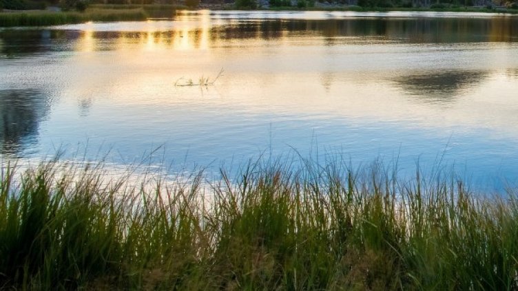 Снимка: Pixabay