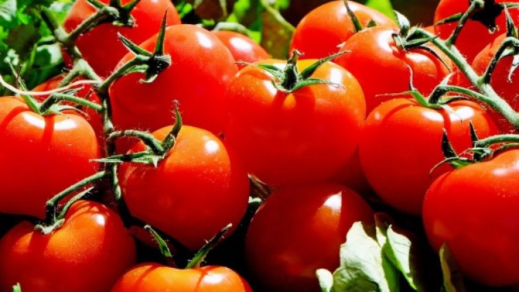 Снимка: Pixabay