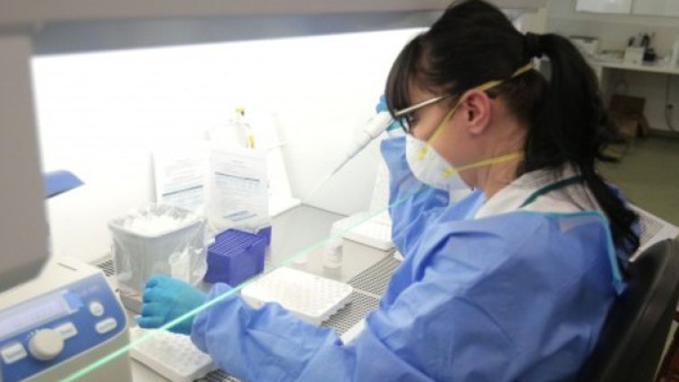 Снимка:Димитър Кьосемарлиев, Dnes.bg