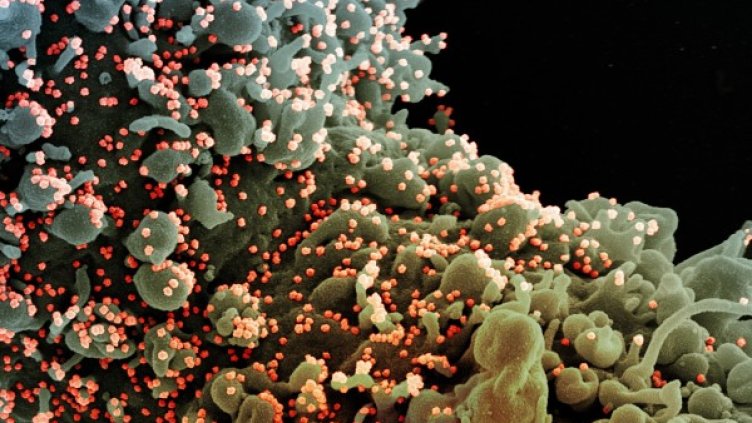 Снимка: архив, БГНЕС