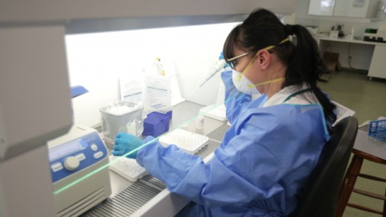 Снимка: Димитър Кьосемарлиев, Dnes.bg