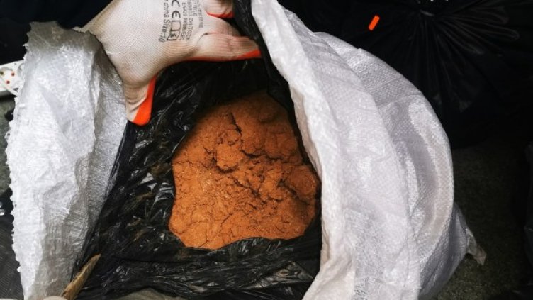 Снимка: БГНЕС илюстративна