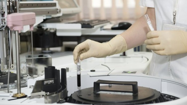 Снимка: Pixabay