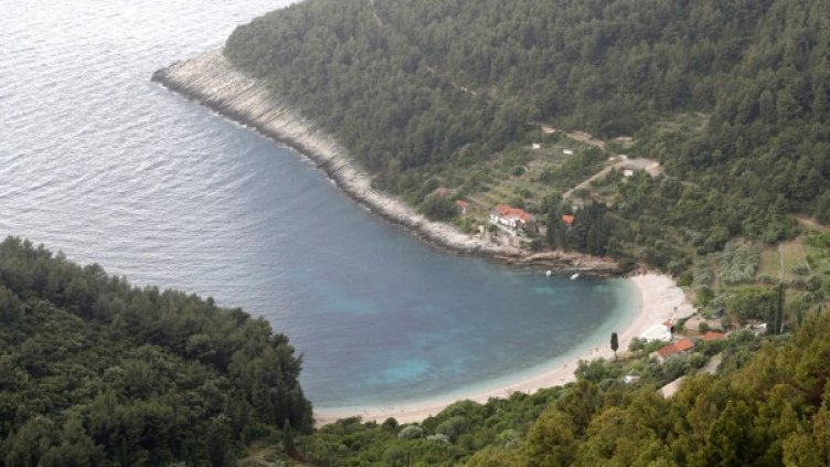 Снимка: архив, БГНЕС