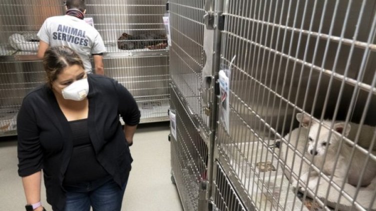 Снимка: архив, БГНЕС