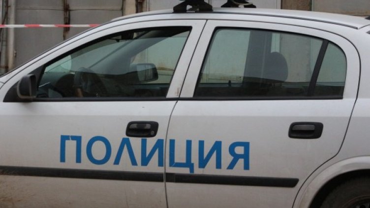 Снимка: архив, БГНЕС