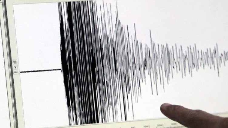 Снимка: архив, БГНЕС