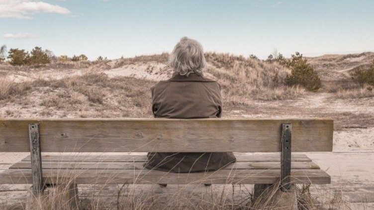 Снимка: Pixabay