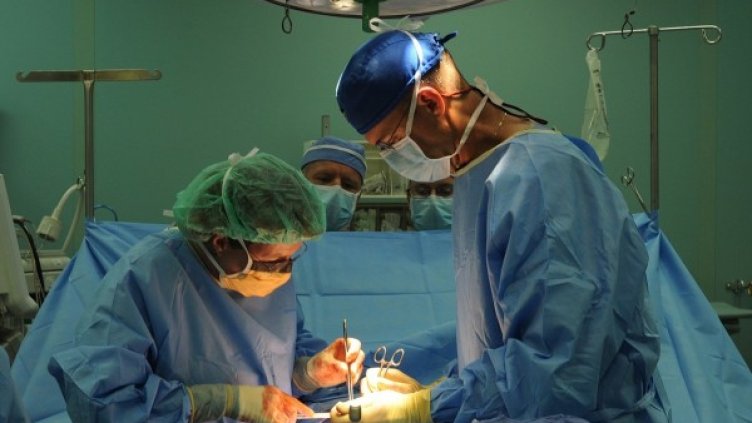 Снимка: Pixabay