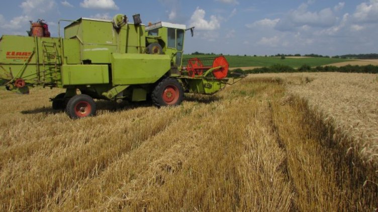 Снимка: Bloomberg TV Bulgaria