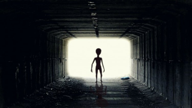 Снимка: Pixabay