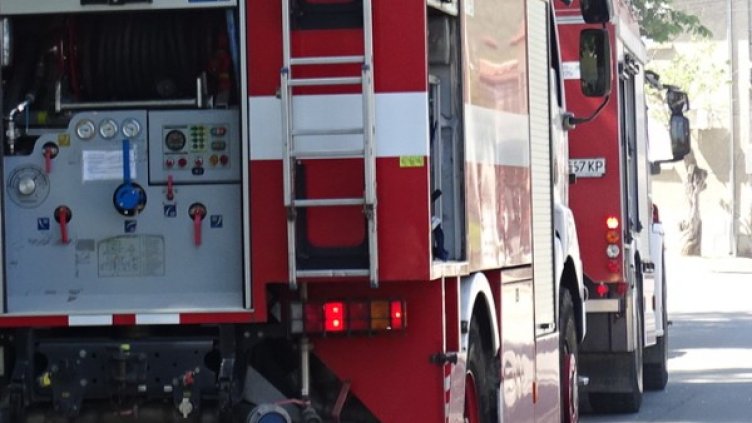 Снимка: БГНЕС