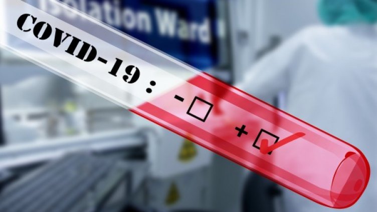 Снимка: Pixabay