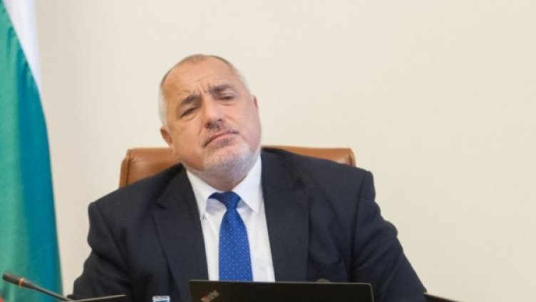 Снимка: Димитър Кьосемарлиев