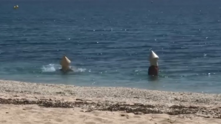 Какво ли не прави човек, за да плува, дори да се маскира като шамандура