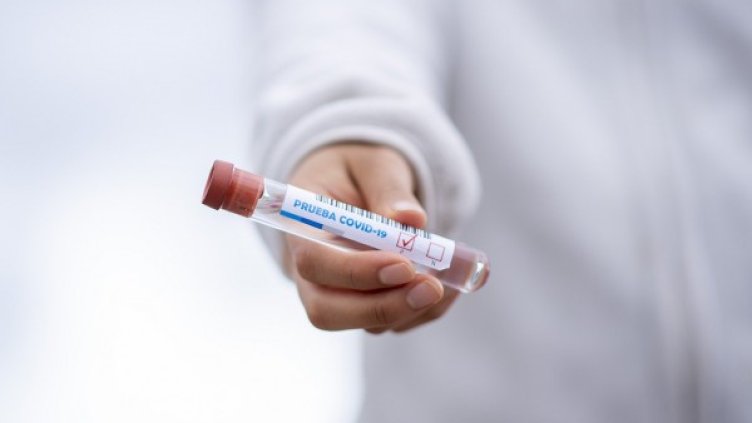 Снимка: Pixabay