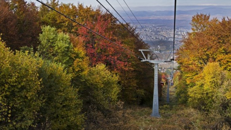 Снимка: Pixabay