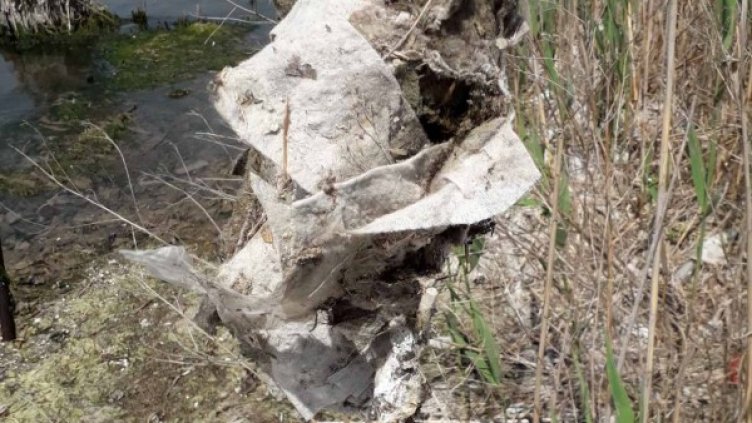 Снимка: HelpBook