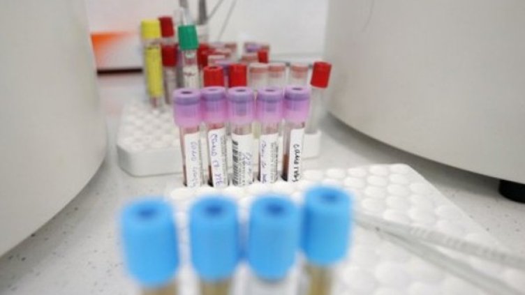 Снимка:Димитър Кьосемарлиев, Dnes.bg