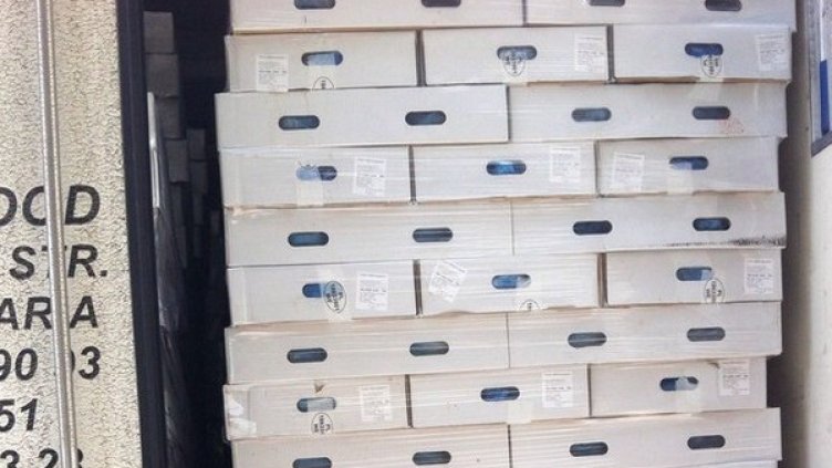 Снимка: БГНЕС/архив