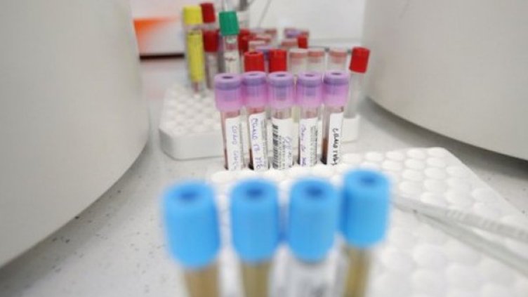 Снимка: Димитър Кьосемарлиев