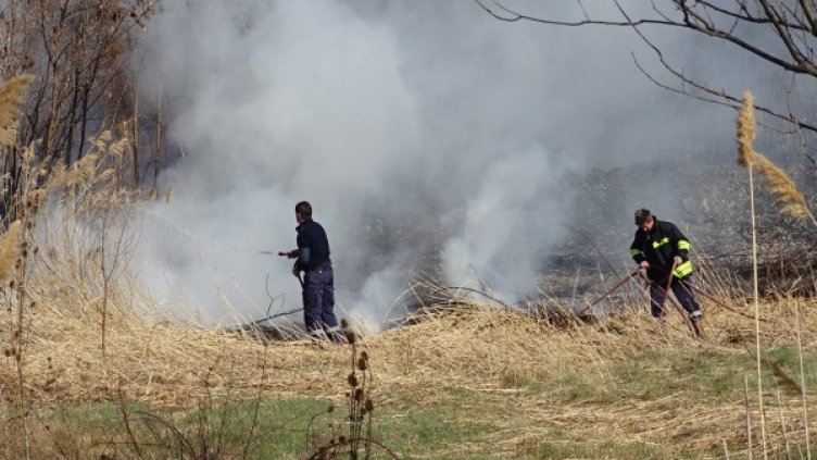 Снимка: БГНЕС