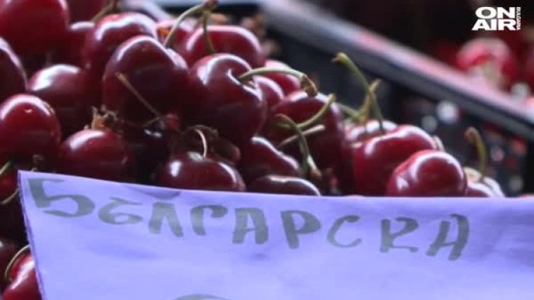Черешите между 5 и 10 лева за кг, какво ги оскъпява?