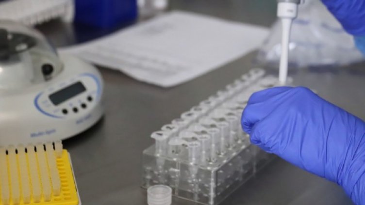 Снимка: архив, БГНЕС