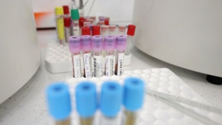 Снимка:Димитър Кьосемарлиев, Dnes.bg