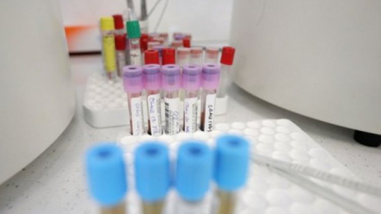 Снимка: Димитър Кьосемарлиев