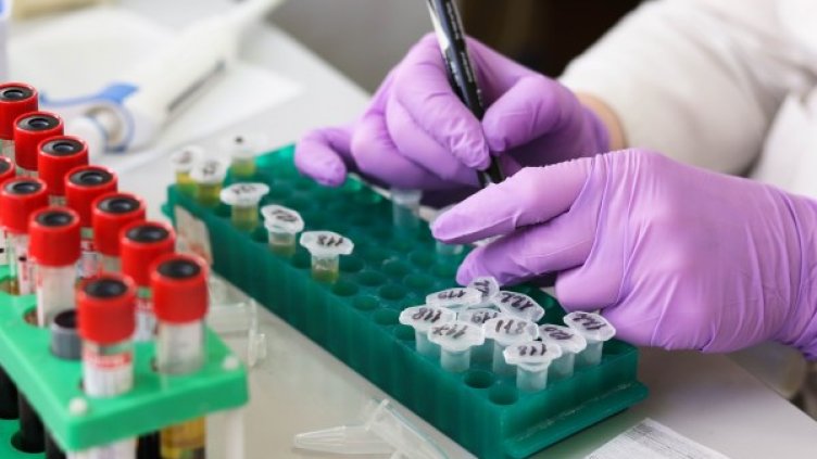 Снимка: Pixabay