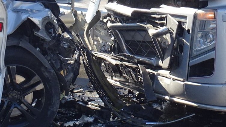 Снимка: архив, БГНЕС