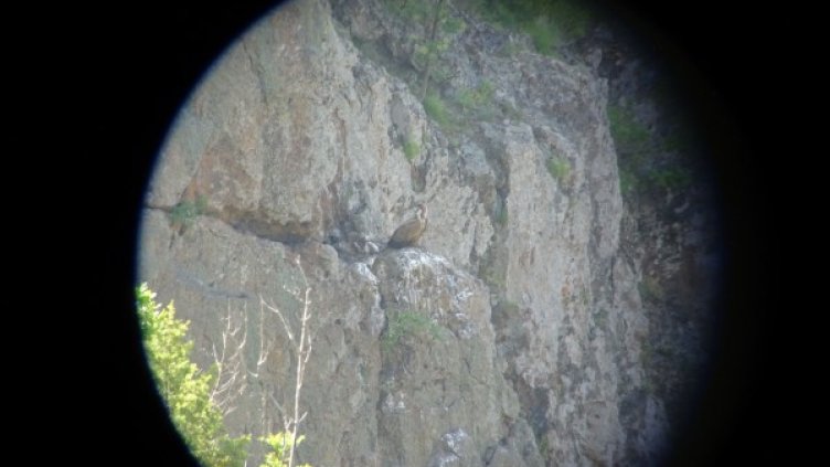 Снимка: БДЗП